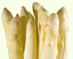 Spargel Renner 2