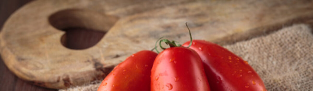 San Marzano Tomaten von der Gärtnerei Willmann aus Ingersheim