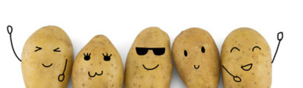 LAISEACKER-Kartoffeln im Sonderangebot