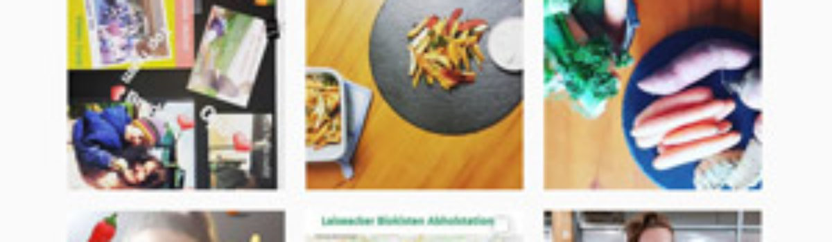 Social Media – Mitmachen & Möhren mümmeln