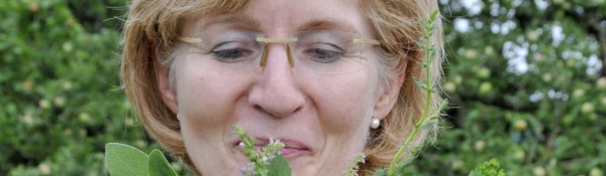 Thema des Monats: Ayurveda – Ernährung für Körper, Geist und Seele