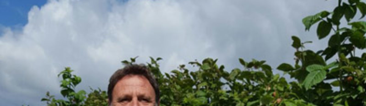 Brombeeren vom Bioland-Pionier Klaus Dillmann