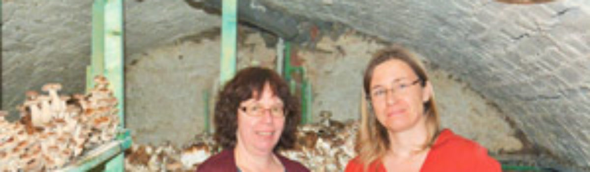 Es kam aus dem Keller – Manitari die Pilzmanufaktur