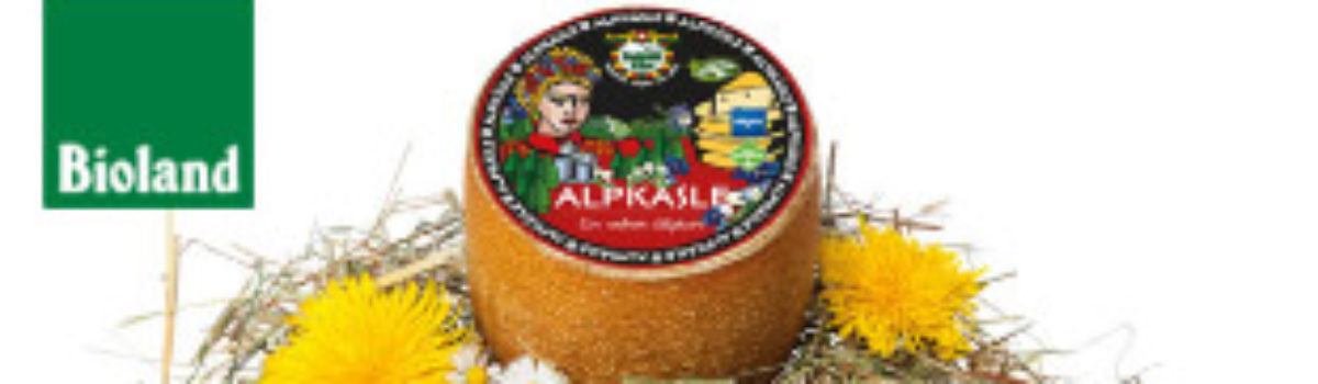 Weihnachten is(s)t Käse