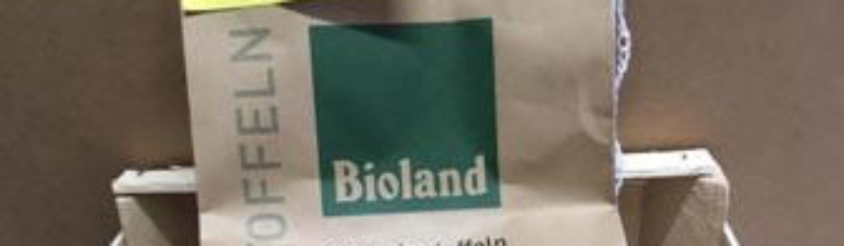 Hilfe, es sind…Drillinge!
