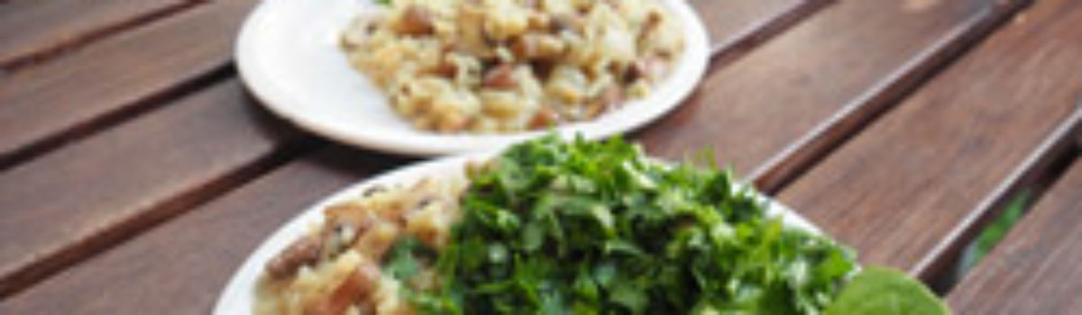 Champignon-Risotto