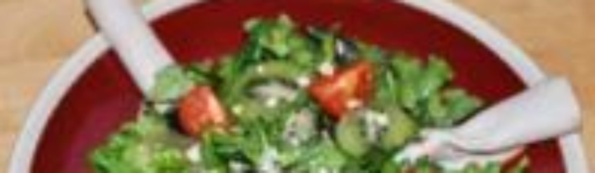 Asia-Mix als Putensalat down under