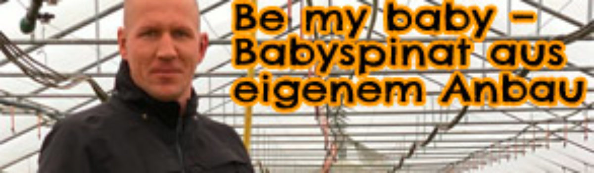 Be my baby – Babyspinat aus eigenem Anbau