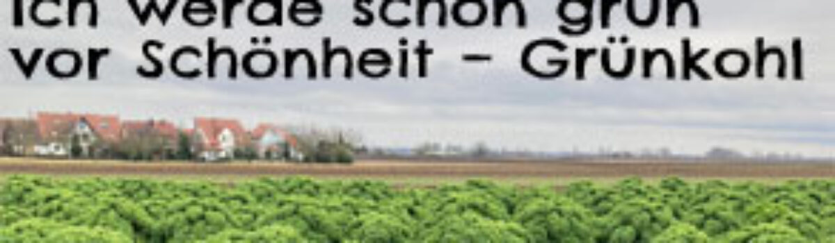 Ich werde schon grün vor Schönheit – Grünkohl