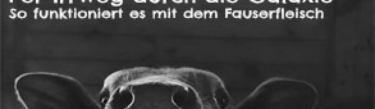 Per Irrweg durch die Galaxie – So funktioniert es mit dem Fauserfleisch