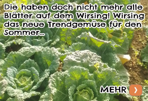 Die haben doch nicht mehr alle Blätter auf dem Wirsing! Wirsing das neue Trendgemüse für den Sommer…
