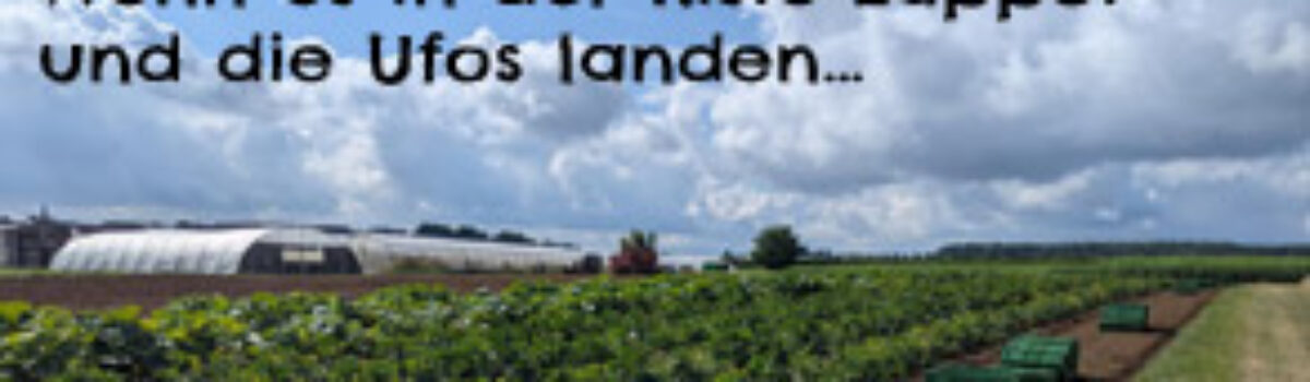 Wenn es in der Kiste zappot und die Ufos landen…