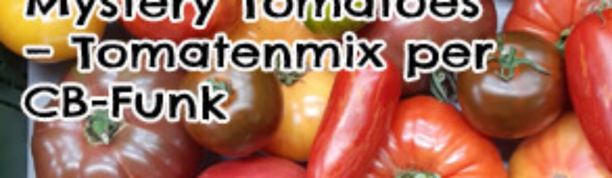 Mystery Tomatoes – Tomatenmix per CB-Funk