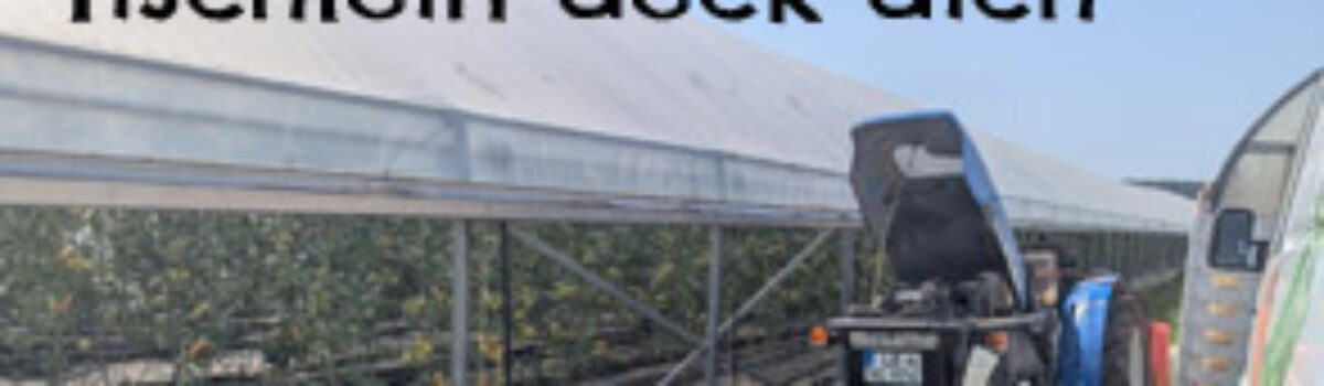 Tischlein deck dich