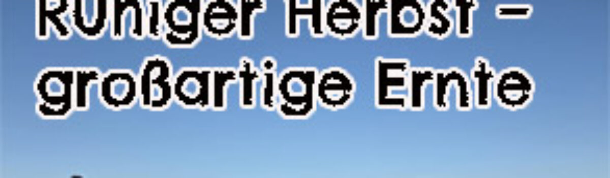 Ruhiger Herbst – großartige Ernte