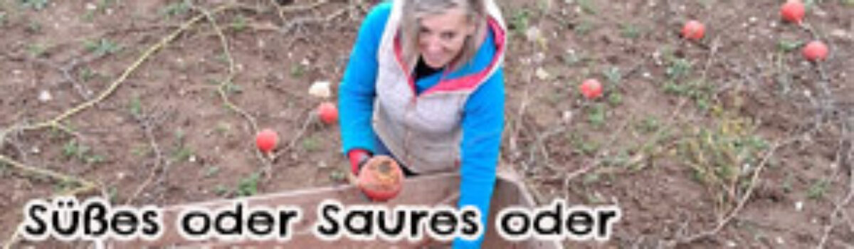 Süßes oder Saures oder halt Uchiki Kuri