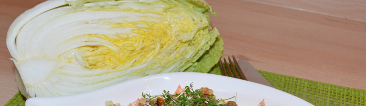Bunter Chinakohl Salat