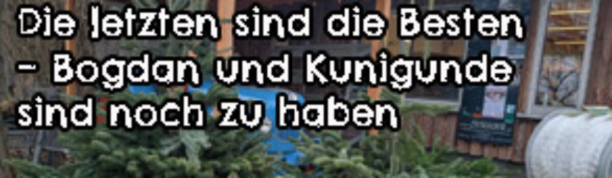 Die letzten sind die Besten – Bogdan und Kunigunde sind noch zu haben