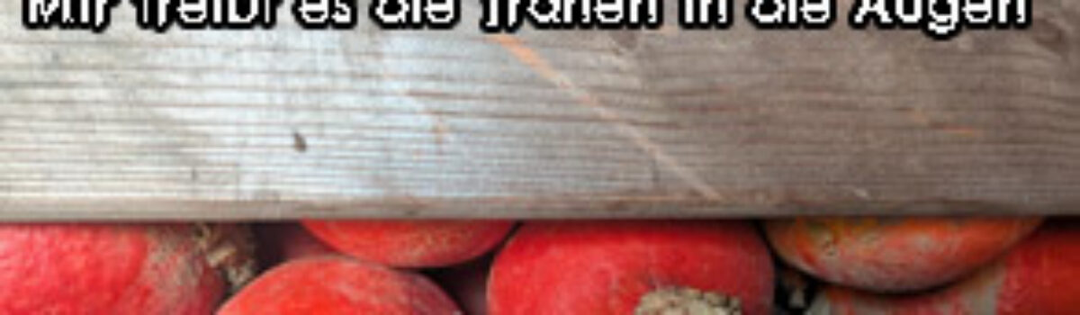 Mir treibt es die Tränen in die Augen