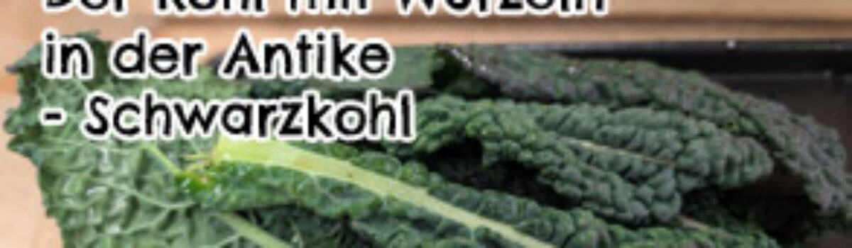 Der Kohl mit Wurzeln in der Antike – Schwarzkohl