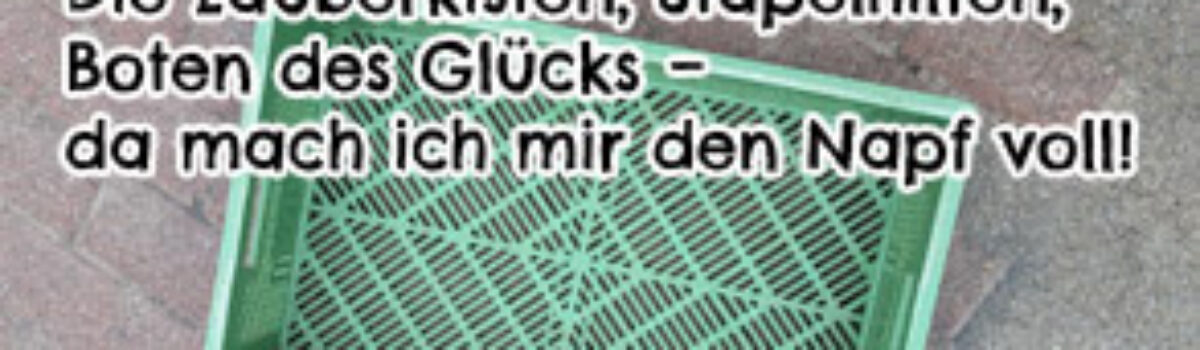 Die Zauberkisten, Stapelhilfen, Boten des Glücks – da mach ich mir den Napf voll!