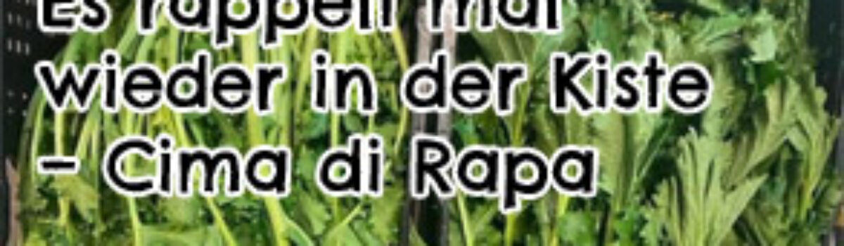 Es rappelt mal wieder in der Kiste – Cima di Rapa ganz ohne Mode und viel Tüll