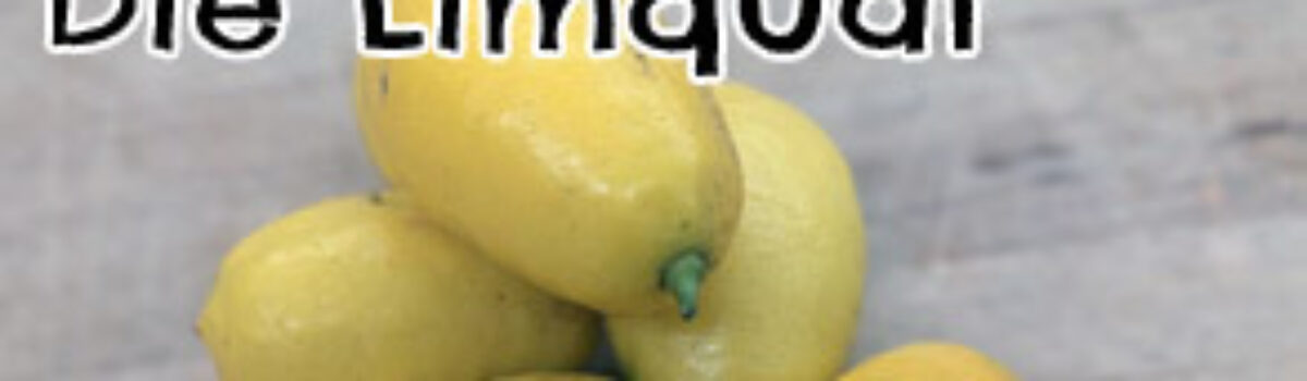 Die Limquat