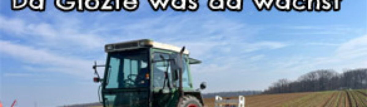 Da Glözte was da wächst