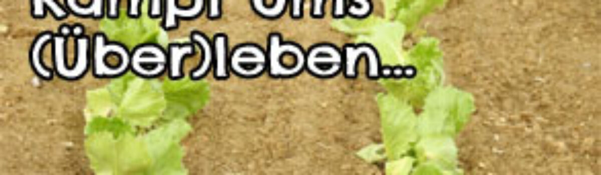 Kampf ums (Über)leben…