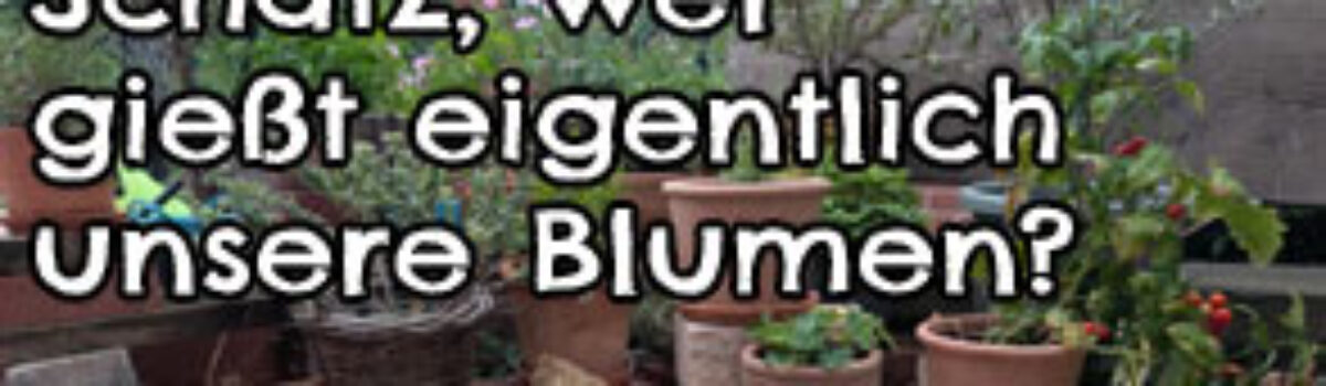Schatz, wer gießt eigentlich unsere Blumen?