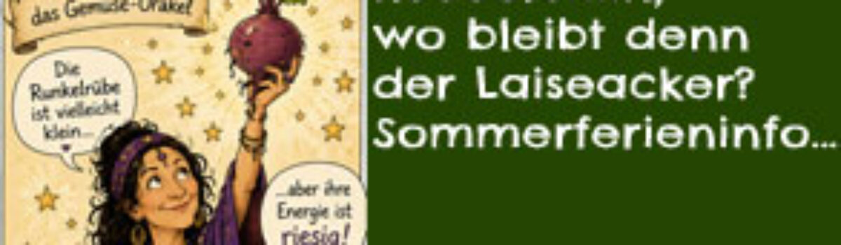 Keeeerstiiin, wo bleibt denn der Laiseacker? Sommerferieninfo…
